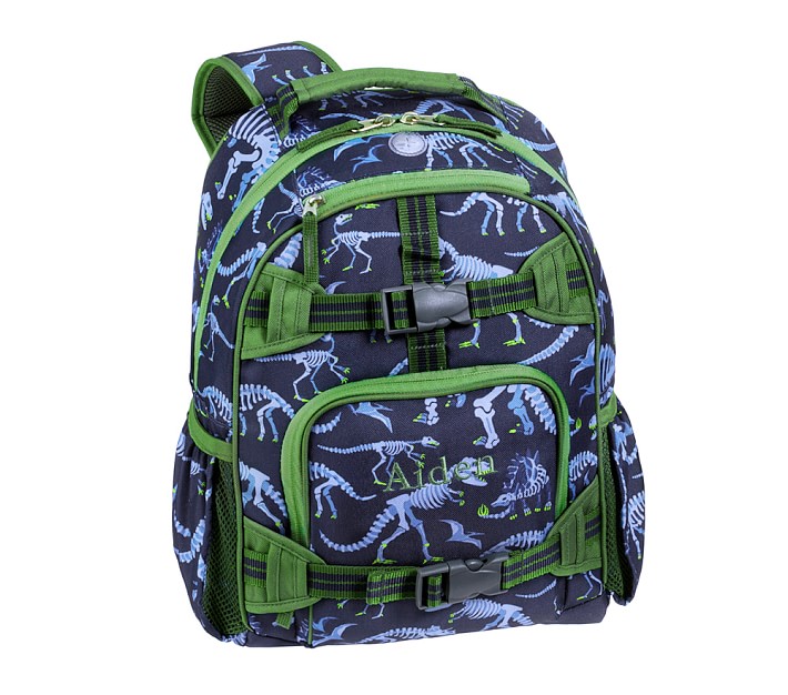 Pottery Dinosaur Backpack for Boys